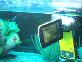 フルHD撮影で水中撮影OKの防水ムービーデジカメ--三洋電機「Xacti DMX-CA100」