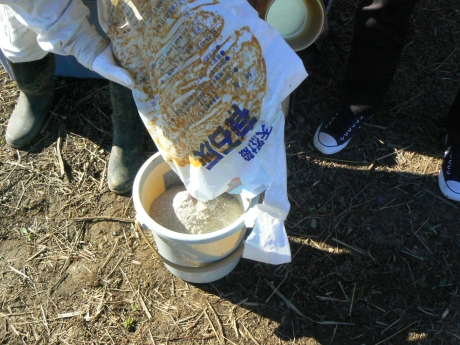 　今回はNECビッグローブ社員モニター2名と、取材で参加したプレス陣で畑の一角を耕し、種をまくこととなった。まずは肥料を準備する。この白い粉は貝殻からできた石灰だ。