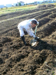 　一通り耕したら、次には「うね」をつくる。スコップを使って、種を植える箇所に土を盛り上げていく。