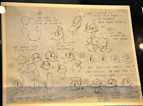 　これはドナルドダックのモデルシート。ドナルドダックは、ミッキーマウスの仲間としてDisney氏が生み出した最初のキャラクター群の1つ。