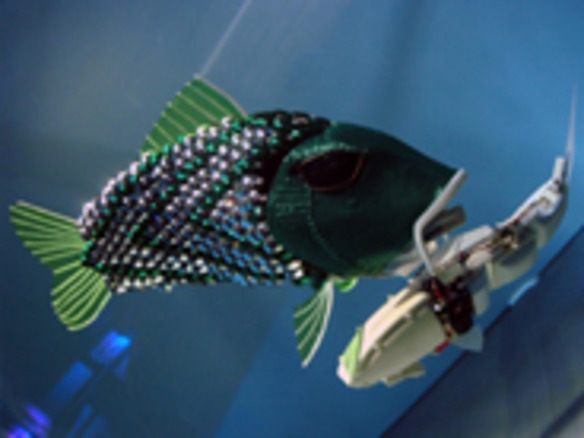 有害物質の監視する魚型ロボット、スペインの港に放出へ