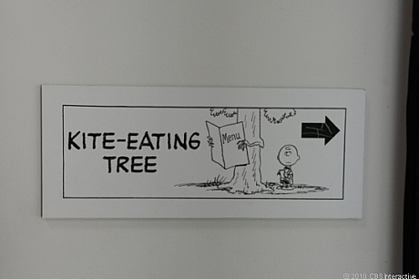 　「凧を食べる木（kite-eating tree）」の場所を示す表示。