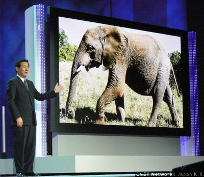 　松下は世界最大となる150インチのプラズマテレビを披露。50インチテレビの9倍の大きさで、横幅は331.8cm、高さは187.5cmとなる。