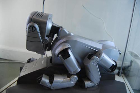 ソニー「AIBO ERS-111」
 
　ソニーが発売した第1世代ロボットペットの初の改訂版は、最初は子犬のように、その後は成犬のように、といったロジックを用いて学習し、成長できた。リアルな動きや学習ができるほど精巧ではないため、恐竜型ロボット「PLEO」のように、真にロボット的な玩具の誕生につながった。