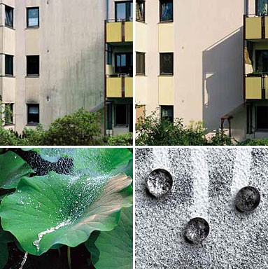 　数年前、ドイツの科学者Wilhelm Barthlott氏は、蓮の葉の微細な凹凸によって球状になった雨水が汚れとともに流れ落ち、葉の表面が清潔で乾燥した状態に保たれることを発見した。Barthlott氏は、この自己洗浄作用を「蓮の葉効果（Lotus Effect）」と呼んだ。ドイツ企業のStoは、この効果を利用してStoLotusanという外壁用塗料を開発している。同社によると、この塗料が乾くと水や汚れを強力にはじくため、建物を長期にわたって美しく保てるという。