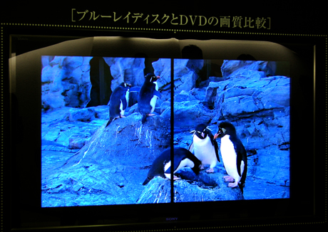 DVDとBlu-rayの画質比較。Blu-ray映像である右側のモニタがより鮮明に、高精細に見えていることがわかる。