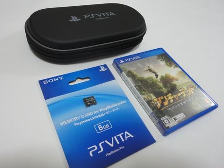 　ソニー・コンピュータエンタテインメントから携帯ゲーム機「PlayStation Vita」（PS Vita）が発売された。ここでは、PS Vitaと同時に発売された専用メモリーカードやゲームソフトの特徴を紹介する。