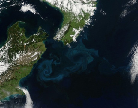 　ニュージーランド沖の海洋渦。2009年10月25日に、NASAのAqua衛星に搭載された中分解能撮像分光放射計（MODIS）で撮影された。