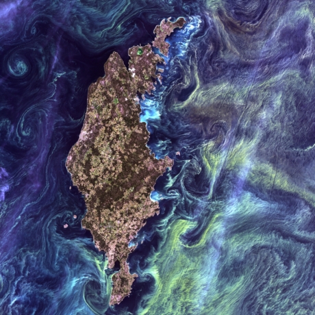 　この画像は2005年7月13日に撮影されたバルト海。この画像にある濃い鮮やかな青と緑の渦巻きと、オランダの有名なポスト印象派の画家Vincent Van Goghが描いた「星月夜」との間に類似性を見出さずにはいられない。

　スウェーデン沖の暗い海上にある鮮やかな緑色は、植物プランクトンの繁殖を示す。海流によって温かく日の当たる水面に栄養素が運ばれ、生物コロニーの成長が速まっている。