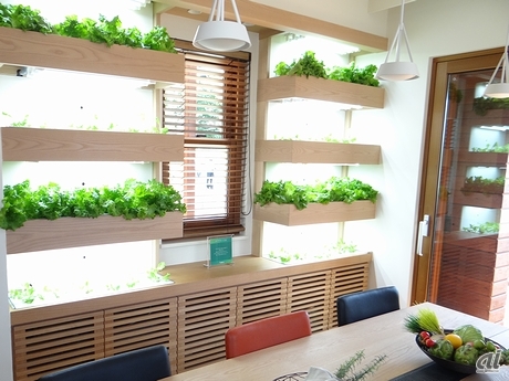 　住宅に緑を取り入れることで、室温や宅地内の外気温を下げることが可能になるという。MIDEASでは、それらを実証するために、緑化を施したルーフガーデンや室内で野菜の栽培・収穫ができる設備「おやさい工房」を設けている。