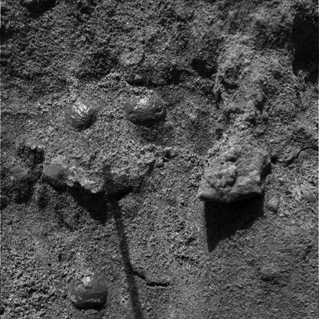 　2004年、Opportunityに搭載の顕微鏡画像記録装置が、岩石の多い火星の地表を近くから撮影した写真。メリディアニ平原の深い溝の壁に埋もれた、光沢のある球形の物体が写っている。