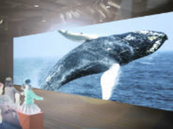ソニービルが美ら海に「47th Sony Aquarium」--“ケラマブルー”を4K撮影で再現