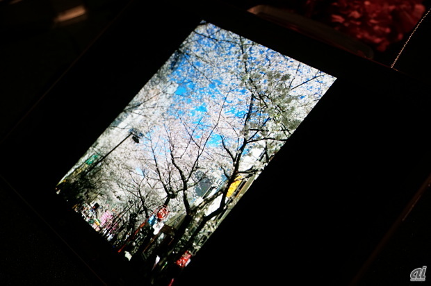 　桜のシーズンに撮影したもの。