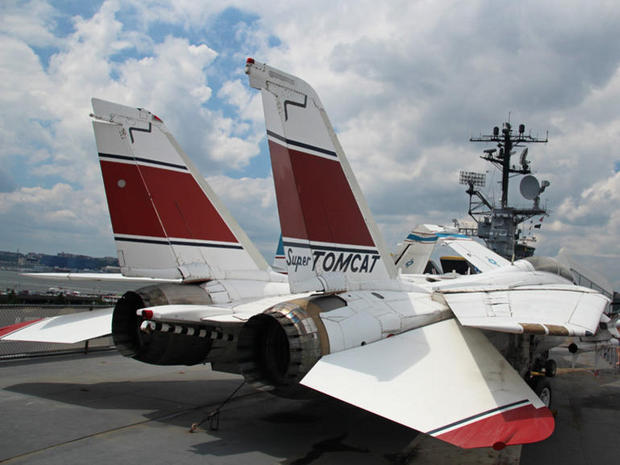 可変翼

　Grumman製の7機目のF-14。米海軍は2006年、残りのF-14をすべて退役させた。
