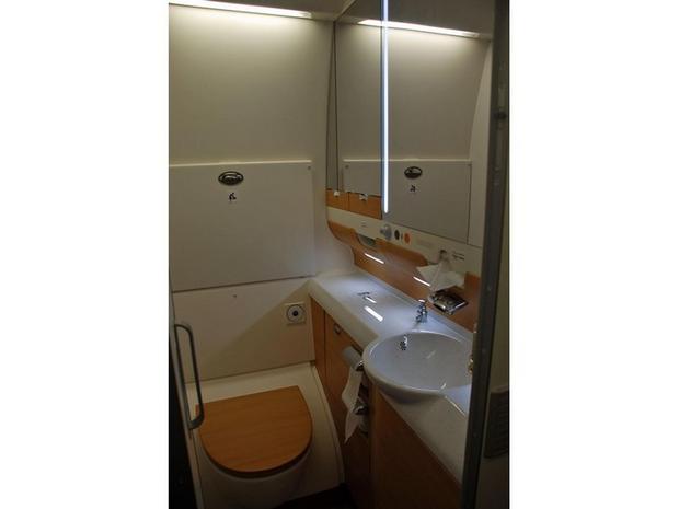 　エコノミークラスのトイレは質素で機能的だが、模造木材の装飾が施されているおかげで多少華やかになっている。