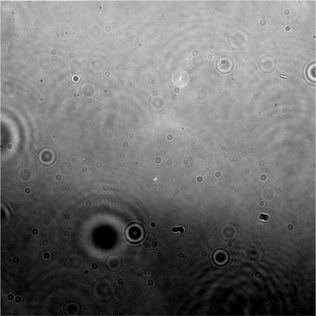 Cassiniが見たエンケラドス

　NASAの土星探査機Cassiniから撮影したこのエンケラドスの生画像は、より精細な画像にする前の未加工画像だ。10月15日のフライバイ後に撮影されたもので、超現実的な円形のパターンがいくつも写っている。NASAによると、この画像は何が写っているのかを解析するための検証や調整がまだ施されていないものだとしている。