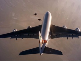 ジェットパック背負ってジャンボジェットと編隊飛行--エミレーツ航空とJetman Dubai、ビデオ公開