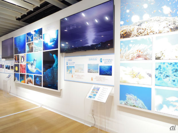 　水中写真家である鍵井靖章さんに撮影による「美ら海の世界」が展示されている。