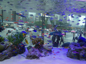 3月でお別れ、ソニービルに遊びに行こう--沖縄「美ら海」を再現「Sony Aquarium」