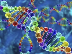 1gのDNAに215ペタバイトのデータを記録--コロンビア大らが「DNA Fountain」考案