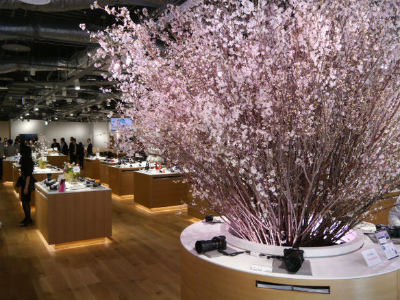 ソニーストア札幌がオープン--初日は250人が列、「コンテンツにもこだわる店舗に」
