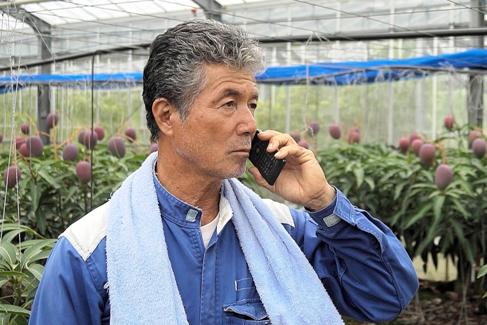 照度・温度を電話やSMSで通知する農作業支援通知システム「てるちゃん」
