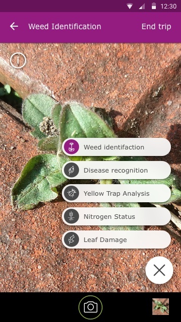 写真から農作物の異常などを識別するアプリ（出典：BASF）