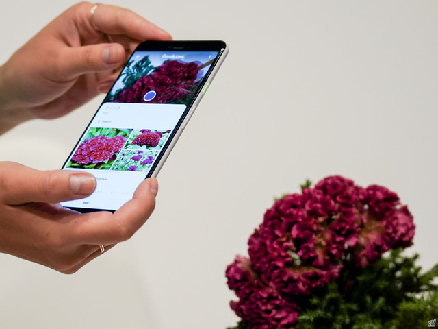 カメラで撮影したものを識別する「Googleレンズ」も搭載。撮影した花がどういった品種かを検索できたり、気になるアイテムを撮影することで、類似の商品を検索することもできる。