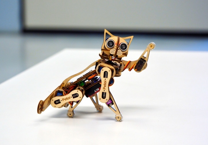 STEM教育用のネコ型ロボット（出典：Indiegogo）