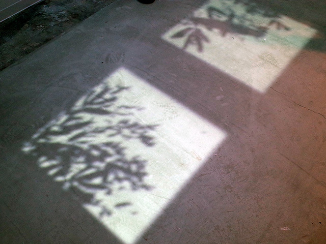 足元には竹の葉の影が現れる