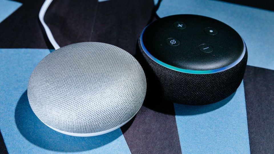 「Google Home Mini」（左）と「Amazon Echo Dot」