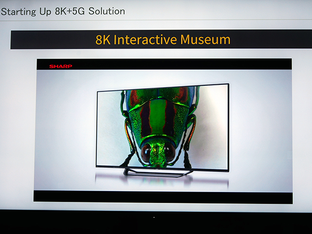 美術館、博物館、観光施設などに展開する「8K Interactive Museum」