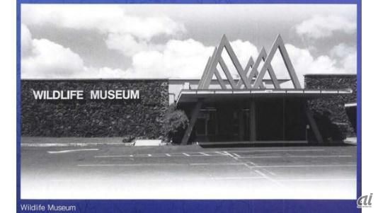 1992年にハワイにあった実際の「WILDLIFE MUSEUM」の外観
