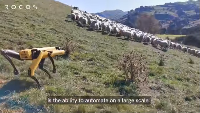 農業や牧畜でSpotを活用へ（出典：Rocos／YouTube）