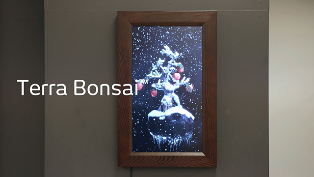 デジタル盆栽アート「Terra Bonsai」