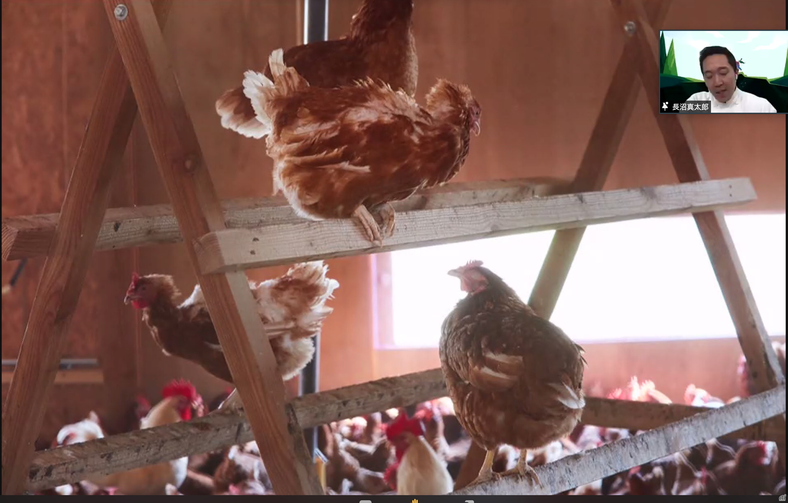 鳥インフルエンザを考慮し、平飼い方式を採用した自社養鶏場の卵を使用