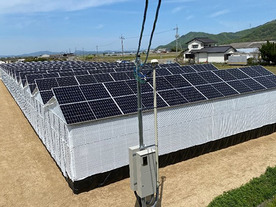 みんな電力、発電しながらシイタケ栽培「原木シイタケ太陽光発電所」--再エネ発電事業に参入