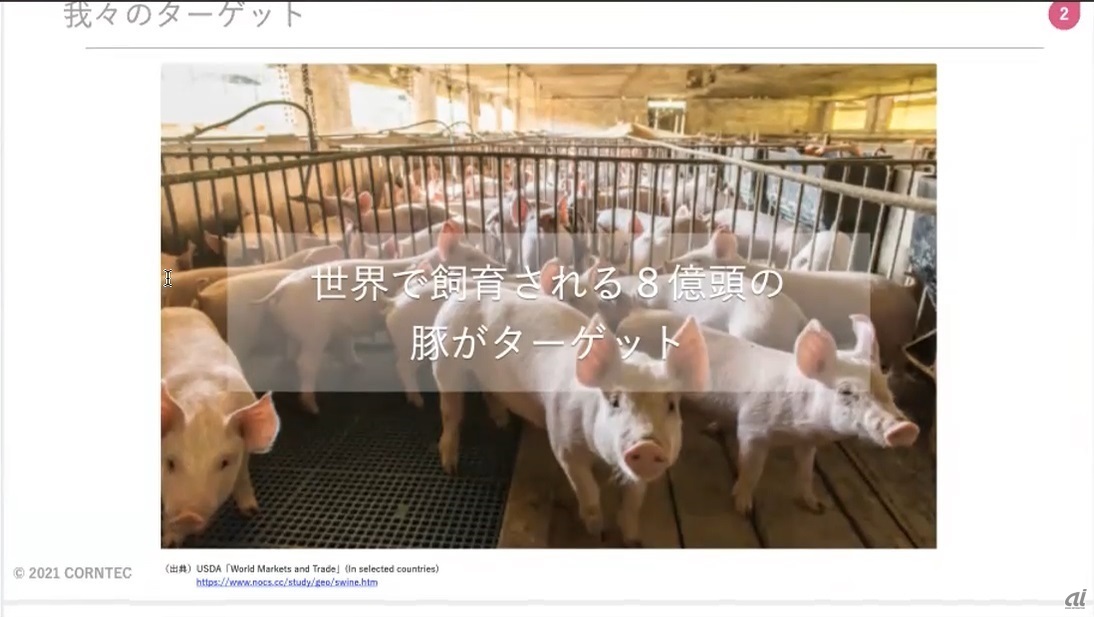 世界中の養豚場で8億頭の豚が食用に飼育されているという