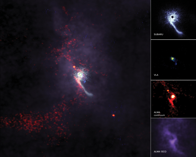 VLAとALMAの観測結果に、「すばる望遠鏡」で得た画像を合成（出典：NRAO）