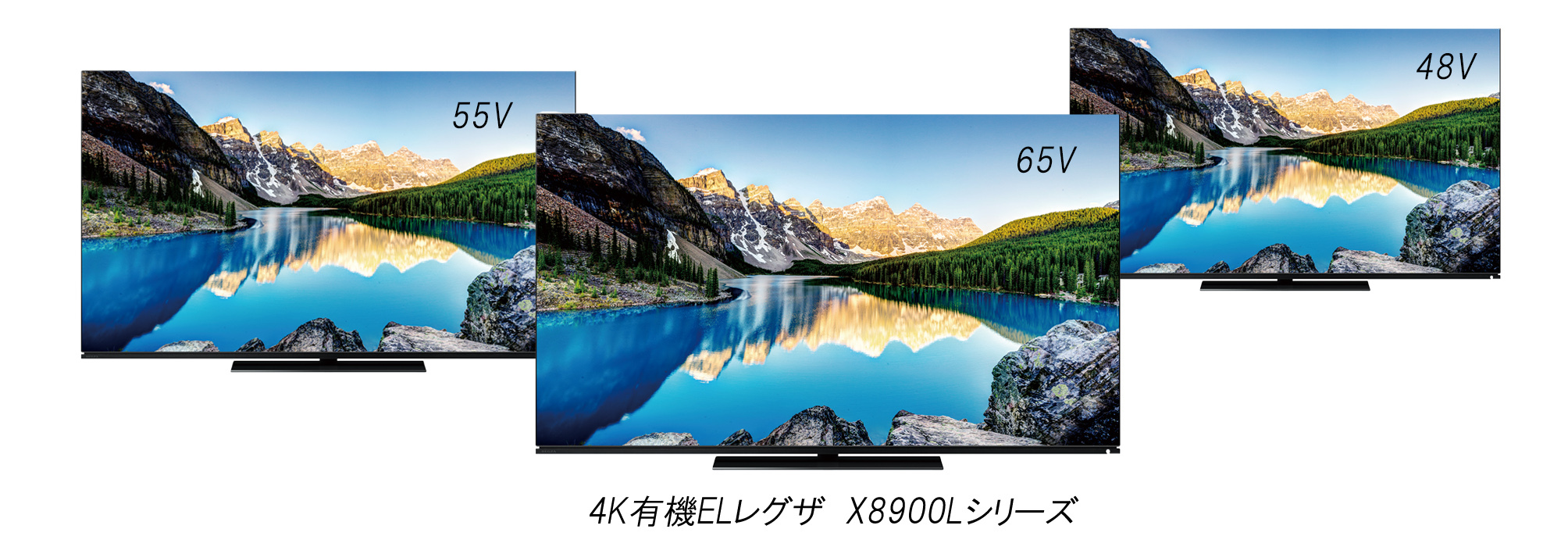 「X8900Lシリーズ」