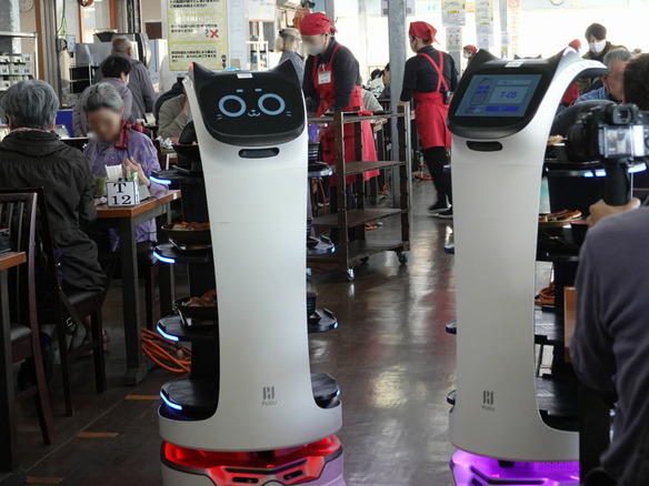 「行ってくるニャー」--ネコ型配膳ロボットが10台行き交う千葉の漁師料理店、導入前後の変化とは