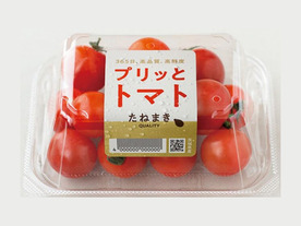 たねまき常総、茨城県常総市に日本最大級のミニトマト生産拠点--年間約1000トン収穫予定
