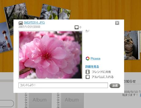 写真共有サイト「Picasaウェブアルバム」のコンテンツをLife-X上に表示。拡大すると右下にpicasaのロゴが現れる