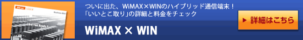 WiMAX × WIN