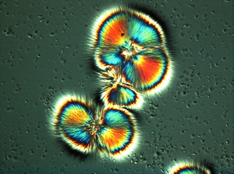 　ウィスコンシン大学スティーブンスポイント校の化学者Michael Zach氏によるこの写真は、写真部門の特別賞を受賞した。成長する塩の結晶がプリズムのような役割を果たし、通過した光から虹のような模様を生み出した。塩の結晶は、カリフォルニア州デスバレー国立公園近くの試料から集められた。

　コンテストと受賞作品の詳細についてはこちらをクリック。