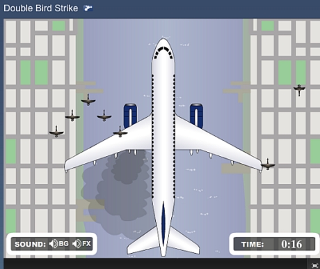 　Dominic Tocci氏が開発した「Double Bird Strike」。プレーヤーは、鳥が原因でエンジンが壊れた飛行機の着陸を試みなければならない。このゲームの最終目標は、旅客機を川へ安全に着水させることである。

　このゲームは明らかに、US Airways機の1549便が鳥の群れと衝突して機能停止に陥り、ハドソン川になんとか無事着水したあの事故から着想を得ている。

　多くのプレーヤーを引きつける一方で、これらニュースゲームの多くは広告を掲載していない。開発者たちが悲劇から利益を得ていると見られたくないためである。