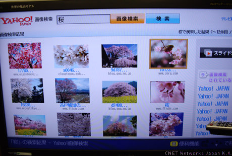 　4月下旬以降にリリース予定となる画像検索画面。「桜」で画像検索した結果がこちらの画面だ。