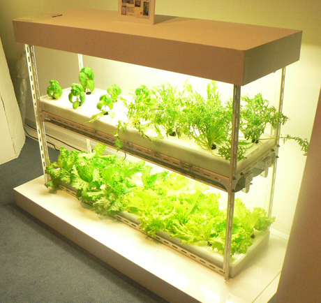 　屋内で野菜栽培が可能な「植物栽培システム GREEN ROOM グリーンルーム」は、植物工場などの研究開発を手がけるみらいが開発した。グリーンルームは、植物の生育に必要な温度、光、水、養分などの環境を人工的に制御するため、天候の影響を受けず、狭い空間でも植物の栽培が可能となる。南極昭和基地での栽培実績がある。