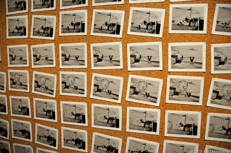 　ミッキーマウス映画の3作目「蒸気船ウィリー」は、米国のDisneylandやDisney World Resortで大々的に取り上げられているため、多くのミッキーファンに知られている。「蒸気船ウィリー」は、音声と映像の組み合わせに初めて成功したアニメーション映画だ。この写真に写っているのは、1928年の同作品で使われたフレームを展示した壁の一部。全部で348あるフレームが集まって、1分にも満たない1アクションが作られる。最初のミッキーマウス映画は「プレーン・クレイジー」で、これも1928年の公開。