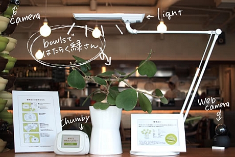 カヤックが鎌倉の本社の1階で運営しているカフェ「bowls」に、ブログを書く植物がいる。この植物の名前は緑さん。ウェブカメラ、chumby、ライトを使ってカフェの来店者やブログの読者とコミュニケーションをとっている。